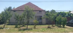 Vând 2 case cu teren Peciu Nou