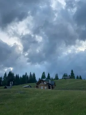 Camere de închiriat  - imagine 5