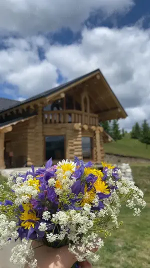 Camere de închiriat  - imagine 3