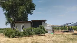 Teren agricol Trestiana - imagine 2 Teren agricol Trestiana - imagine 2