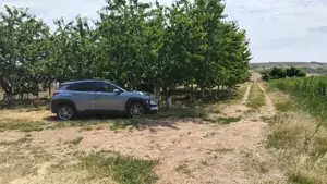 Teren agricol Trestiana