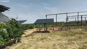 Teren agricol Trestiana - imagine 3 Teren agricol Trestiana - imagine 3