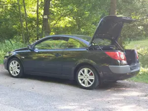 Vand- schimb renault megane facelift 1.9 dci cabrio - imagine 18