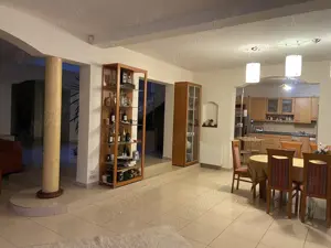 Vrei sa traiesti intr-un parc ?Vand  vila 380mp utili, 4400 mp teren, multa verdeata, ponton la Bega - imagine 6