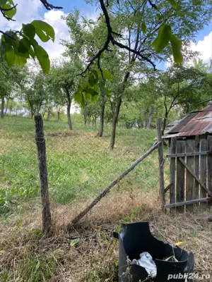 Vand casa Batraneasca - imagine 9