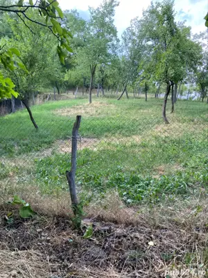 Vand casa Batraneasca - imagine 10