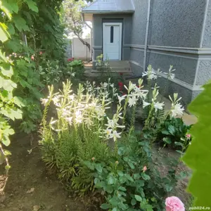 Casă la țară de vânzare  - imagine 4