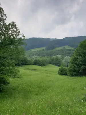 Vând teren Drajna - Cerașu - imagine 3