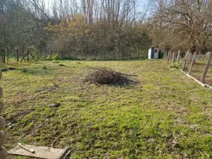 Casă de vânzare Dezesti - imagine 4