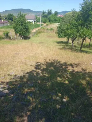 Teren intravilan poziție deosebită în orașul Bistrița direct de la proprietar  - imagine 6