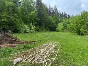 Vand teren extravilan zona usor accesibila, zona Colonia Mina 1 Mai - imagine 5