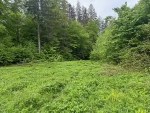 Vand teren extravilan zona usor accesibila, zona Colonia Mina 1 Mai - imagine 6