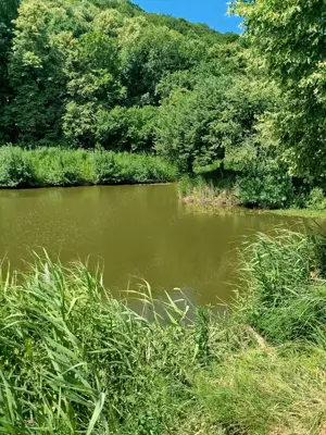 vand teren cabana langa lac sarat și teren DN 17 pt investiții  - imagine 10