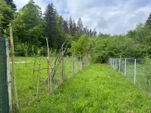 Vand teren extravilan zona usor accesibila, zona Colonia Mina 1 Mai - imagine 2