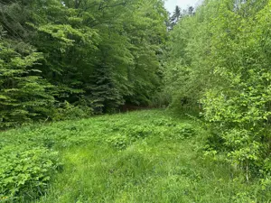 Vand teren extravilan zona usor accesibila, zona Colonia Mina 1 Mai - imagine 8