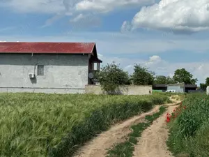 Vanzare Teren  intravilan 500mp  Cernica Balaceanca Ilfov  - imagine 5