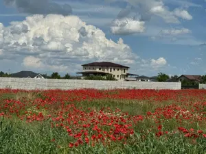 Vanzare Teren  intravilan 500mp  Cernica Balaceanca Ilfov  - imagine 10
