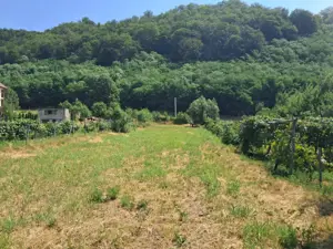 TEREN INTRAVILAN POLOVRAGI - imagine 4