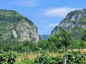 TEREN INTRAVILAN POLOVRAGI - imagine 6