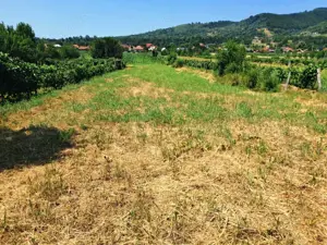 TEREN INTRAVILAN POLOVRAGI - imagine 5