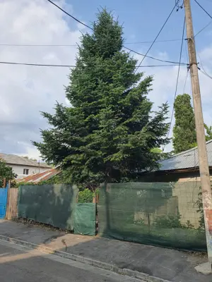 Teren intravilan 190 mp curti constructii - Lac Plumbuita