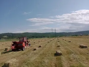 Baloți de vânzare Vaslui