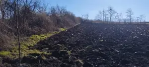 Vand teren 4711mp  - imagine 2 Vand teren 4711mp  - imagine 2