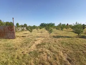 Vând teren în suprafață de 3000 mp în localitatea Sarinasuf, Comuna Murighiol, judet Tulcea - imagine 3