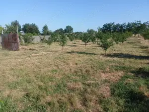 Vând teren în suprafață de 3000 mp în localitatea Sarinasuf, Comuna Murighiol, judet Tulcea - imagine 4