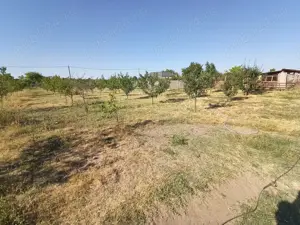 Vând teren în suprafață de 3000 mp în localitatea Sarinasuf, Comuna Murighiol, judet Tulcea - imagine 2