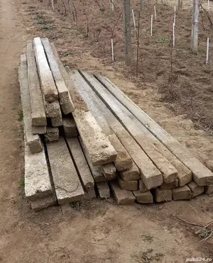 Vănd 60 bondoci pentru vie din ciment .