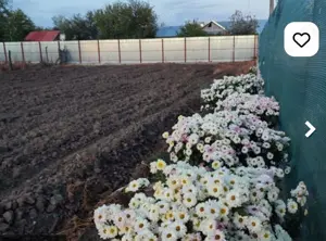 Teren ideal pentru casa!!! - imagine 2 Teren ideal pentru casa!!! - imagine 2