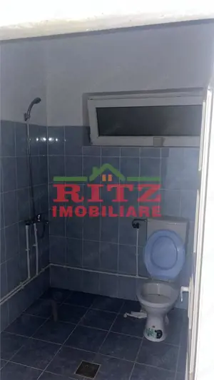 Vila Sp. comercial+teren S=900 mp, Redea! - imagine 8