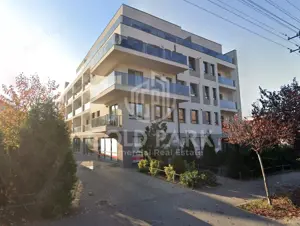 Spatiu Comercial - Marasti - Vitrina la Strada - 441 mp