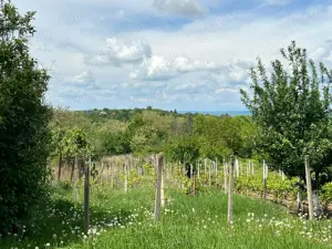 Teren Intravilan - Seciu, Prahova - imagine 2