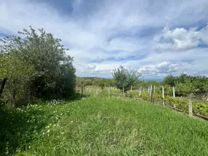 Teren Intravilan - Seciu, Prahova - imagine 3