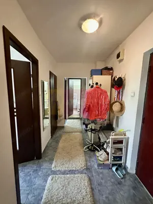 2 camere de vanzare Sebastian - Novaci - imagine 8