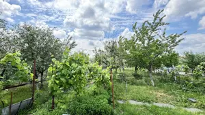 Casa spatioasa, teren 1348 mp, Giarmata - imagine 15