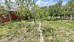 Casa spatioasa, teren 1348 mp, Giarmata - imagine 16