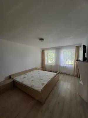 Sanandrei   Central   Casa 4 Camere  - imagine 10