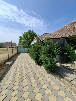 Sanandrei   Central   Casa 4 Camere  - imagine 18