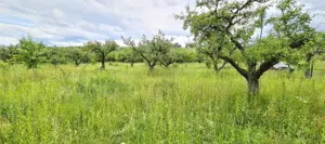 Vanzare teren intravilan