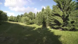 Teren Intravilan de 1.7 Hectare în Colibita - imagine 6