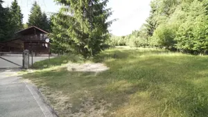 Teren Intravilan de 1.7 Hectare în Colibita