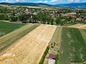 FILM! Teren extravilan, Valea Crisului, Covasna - imagine 3