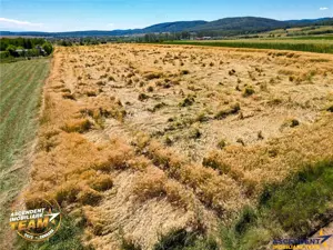 FILM! Teren extravilan, Valea Crisului, Covasna - imagine 5