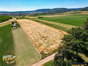 FILM! Teren extravilan, Valea Crisului, Covasna - imagine 4