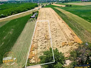 FILM! Teren extravilan, Valea Crisului, Covasna - imagine 2