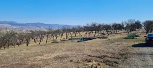 Vand teren intravilan cu panorama - imagine 2