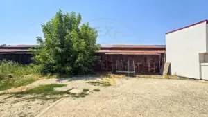 Teren mihai viteazul voluntari - imagine 6